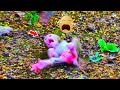 OH, Look... Mom l.oc.k.e.d adored tiny baby monkey not for milk r.e.j.e.c.t.e.d &amp; left on the ground