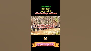 Từ 2/6/2025: Giá thóc ở Kon Tum là 8.900đ/kg – ảnh hưởng thuế ra sao? #shorts