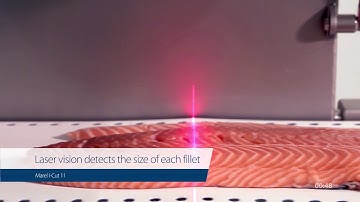 I-Cut 11 PortionCutter Salmon – High-value portioning