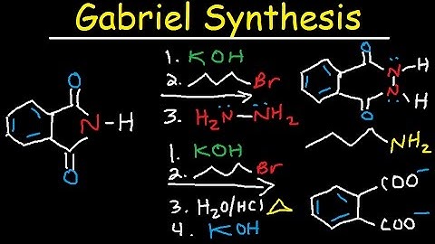 Gabriel Synthesis Reaction Mechanism - Alkyl Halide to Primary Amine