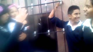 Morrita Vs Angel Pelea De Gallos