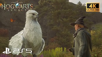 HOGWARTS LEGACY WALKTHROUGH PART 13 – MEETING THE HIPPOGRIFF (PS5 GAMEPLAY)