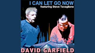 Video thumbnail of "David Garfield - I Can Let Go Now (Instrumental Version)"