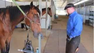 Equestrian Tv Episode 5 - Melodic Farms - Jeff Helps A Seriously Foundered Horse Walk Again.