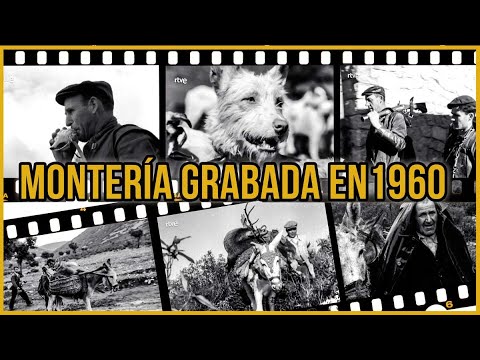 MONTERÍA GRABADA EN 1960: Cazadores, ciervos, jabalíes y viejos furtivos