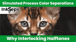 Inkseps Simulated Process Screen Printing And Interlocking Halftones
