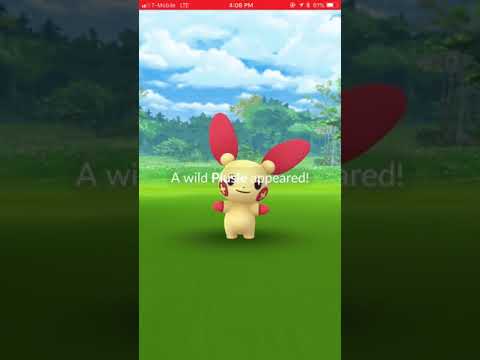 ポケモンgo プラスル色違いやっと出た 100体以上は狩ったかな Youtube