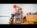 Funny PRANKS on DOG for 24 HOURS!