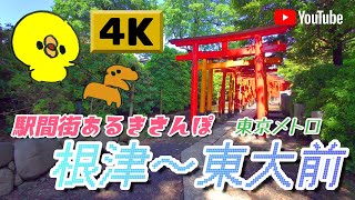 【4K】駅間街あるき　東京メトロ:根津～東大前　Walking around town between stations: Nezu - Todaimae