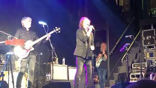 The Zombies - You Could Be My Love - Holmfirth 270423