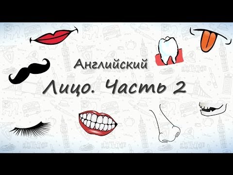 Части лица на английском (часть 2). Запоминаем части лица на английском