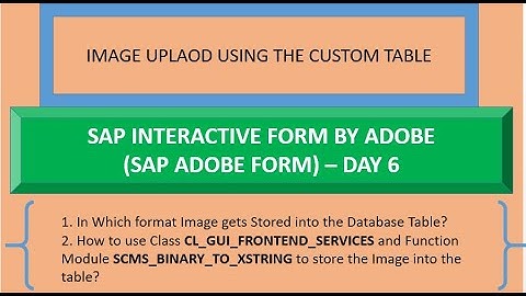 Class 6   Adobe Form Image Upload using Custom Table