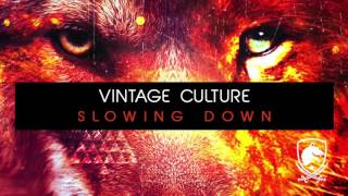 Vintage Culture - Slowing Down (Original Mix) chords