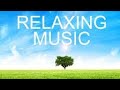 Beautiful relaxing music  peaceful piano music  guitar music  sunny mornings by nature  relaxing