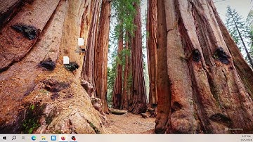 Bài 11.5.6 tầng mô hình dự báo trong NGCF Machine Learning with Graphs