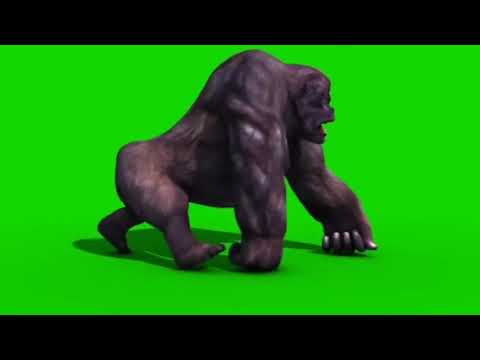 King Kong green screen effect