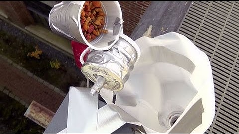 Automatic Cat Feeder Part 3: Q&A with Nate | Design Squad