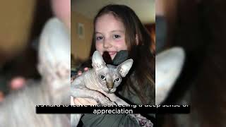 Devon Rex Cats: The Ultimate Guide (2024 Update)