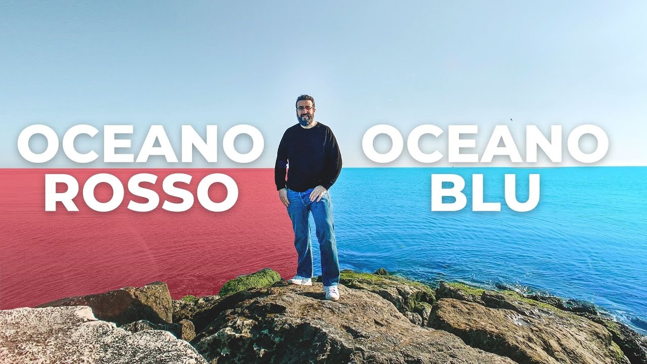 Strategia Oceano Blu: Come Sopravvivere in un Oceano Rosso? 