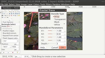 GIMP Filter Fractal Trace