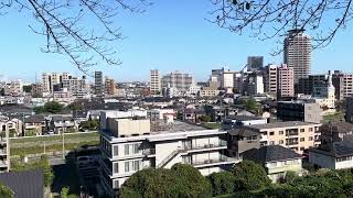 IMG 0318