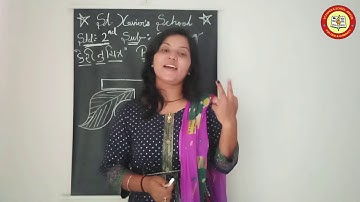 Std 2 E / Guj Med / Sub: Drawing