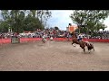 Jaripeo - Plaza "La divertida" de Jofre, Celaya