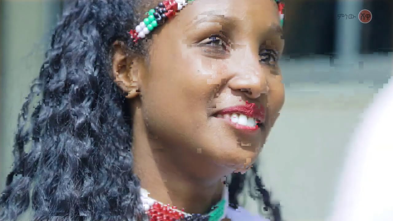 Alamuu Gaaddisaa (Gar Gar Nun Baasan)  - New Ethiopian Music 2020(Official Video)