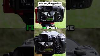 Master Your Focus  The Secret to PERFECT Photos!