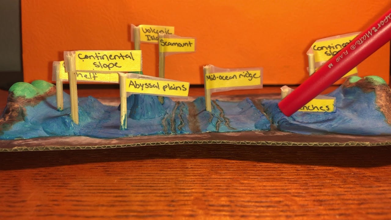 Ocean Floor Diorama Youtube