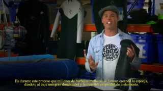 Rip Curl Wetsuits Overview