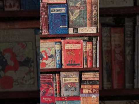 427 Vintage Library 1000 Pieces Timelapse