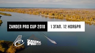 Zander Pro Cup 2018 - 1 ЭТАП