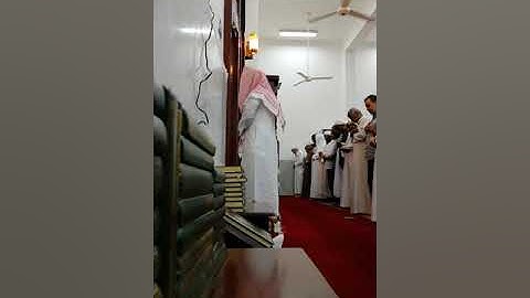 ترتيل حجازي بديع من أواخر سورة البقرة للقارئ فريد الغشيمي