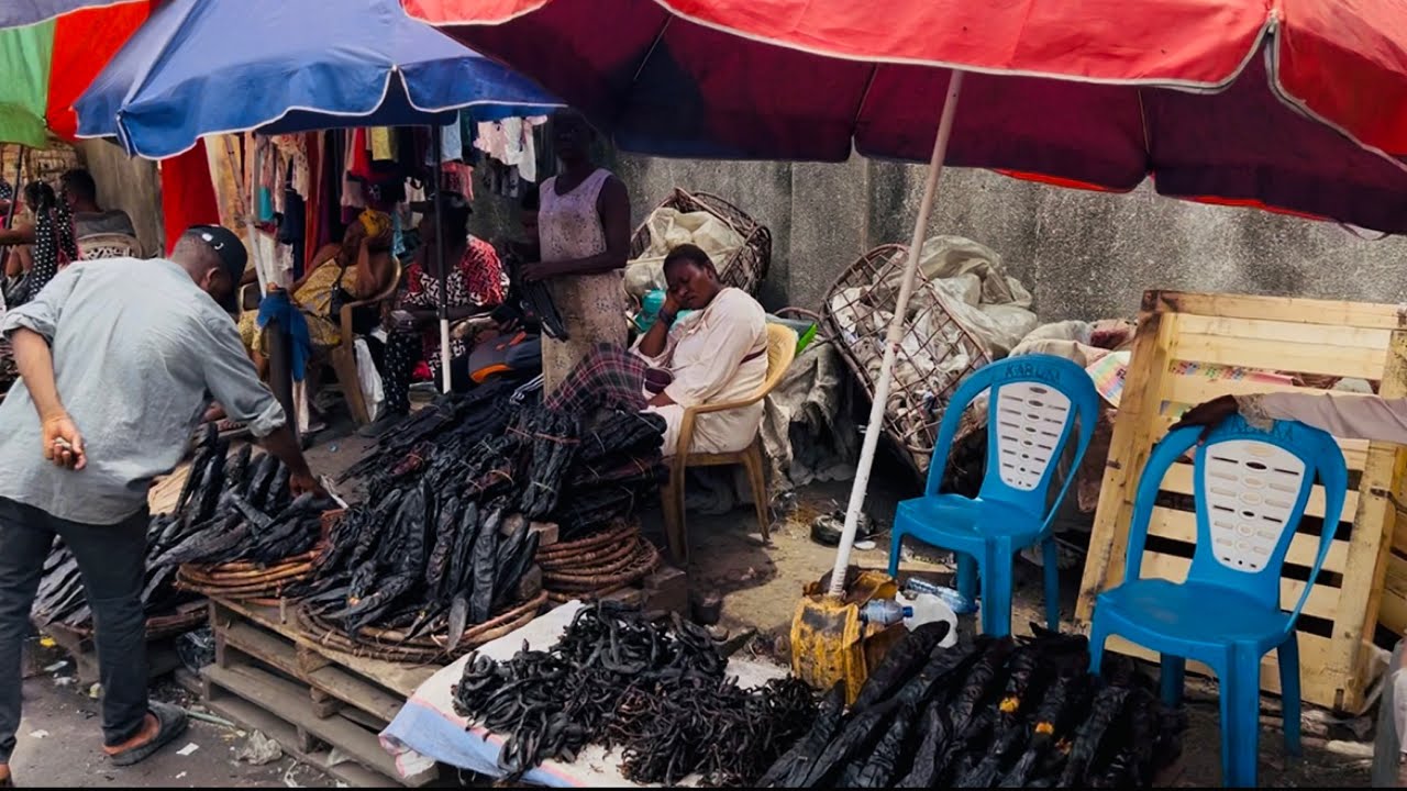 Bilei Ya Bio Na Bio: Libongo Apollo (poids lourd) Kinshasa🇨🇩