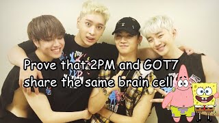 Prove that 2PM and GOT7 share the same brain cell