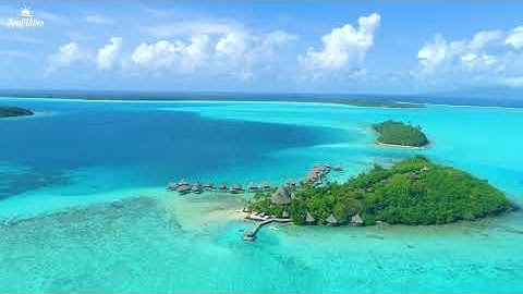 Tropical Summer Vibes 2025 🌴 The Best Of Vocal Deep House Music Mix 4K UHD for TV Relaxation