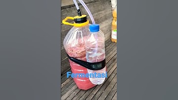 Thumbnail of Cara bikin wine sendiri || Fermentasi anggur