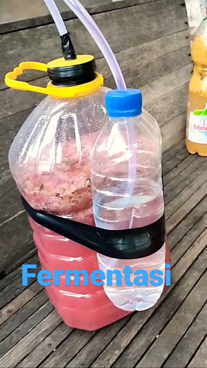 Cara bikin wine sendiri || Fermentasi anggur