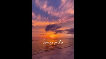قرآن كريم القارئ عبد الرحمن مسعد  قَدْ أَفْلَحَ مَنْ تَزَكَّىٰ