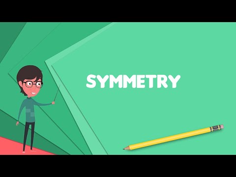 What is Symmetry? Explain Symmetry, Define Symmetry, Meaning of Symmetry