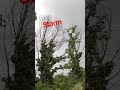 It's a storm #strom #shortsviral #raining #shortsvideo