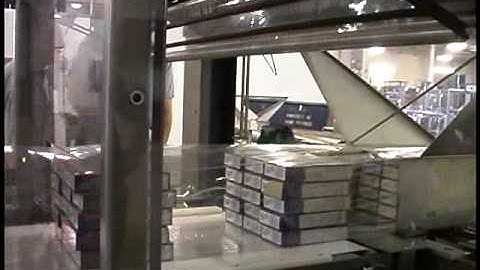 Capra 70LS Horizontal Shrink Bundler Packaging Boxes of Food