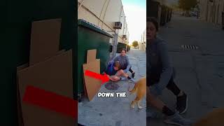 This Dog Saved This Neighbour Boy. When His Leg Get Injured