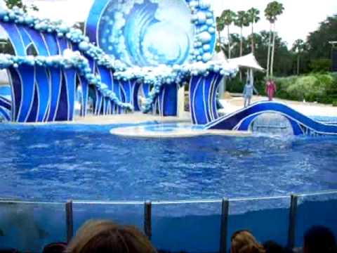 Tag 7 - Orlando/Sea World - Delfin Show