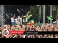 Feuilles de roots   la yaute en action nomade reggae festival 2017