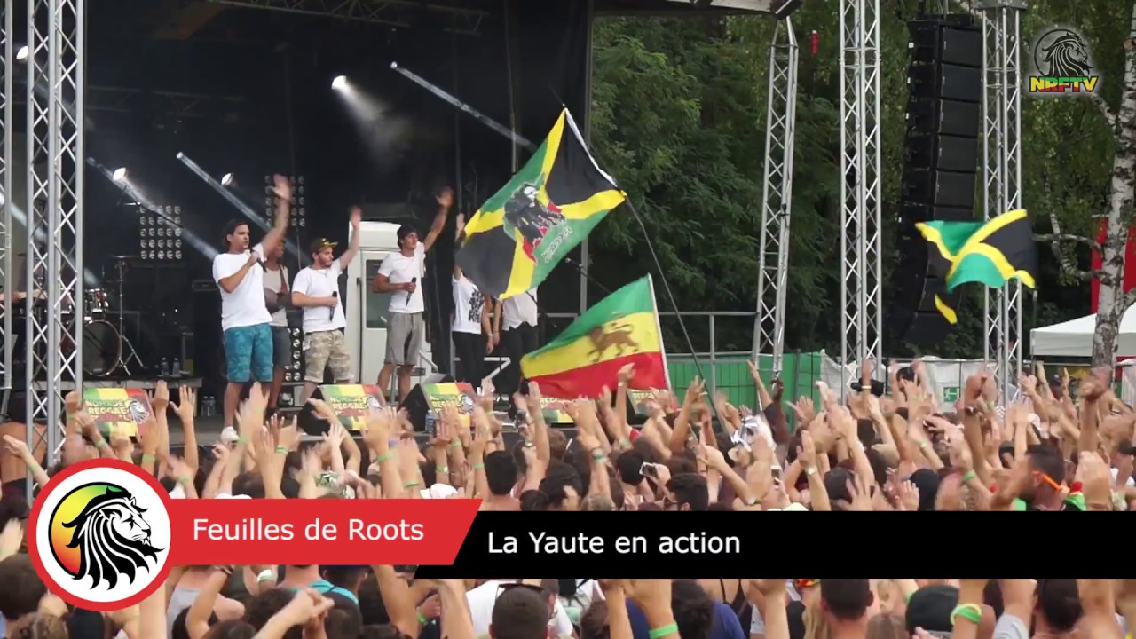Feuilles de Roots   La Yaute en action Nomade Reggae Festival 2017