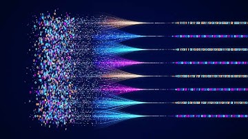 DXi  - What You Need to Know
