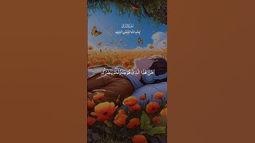 📖✨ تلاوة عطرة من القرآن الكريم تهدي القلوب وتشرح الصدور ✨📖