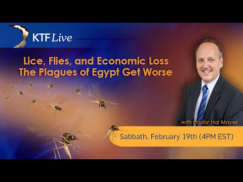 KTFLive: Lice, Flies, and Economic Loss - The Plagues of Egypt Get Worse